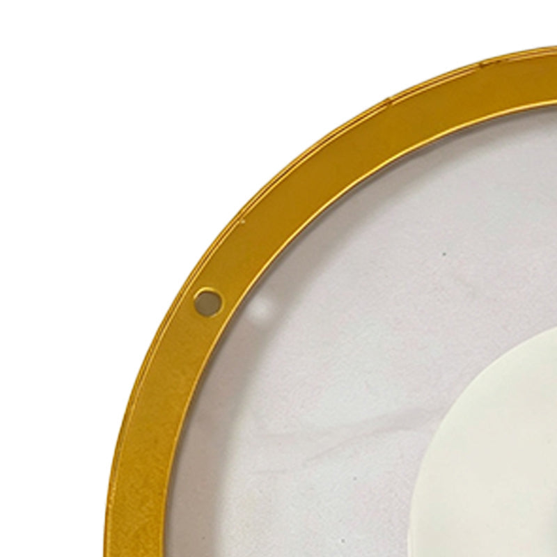 đ JETZT 50 % RABATT! đĄ Schwebendes Wandregal mit integrierter LED-Stimmungsbeleuchtung â Moderne PflanzenprĂ€sentation â Perfekt fĂŒr Indoor-GĂ€rten und Wohnungen âš