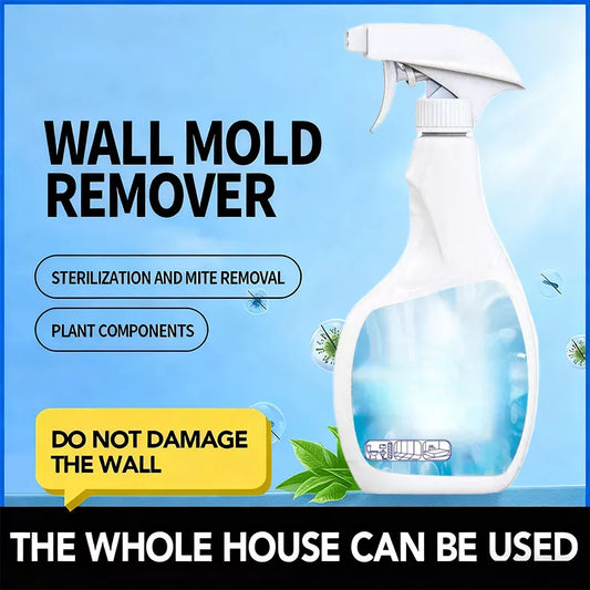 🔥Ausverkauf 2025🔥Hochwirksames Anti-Schimmel-Spray – Verhindert das erneute Auftreten von Schimmel