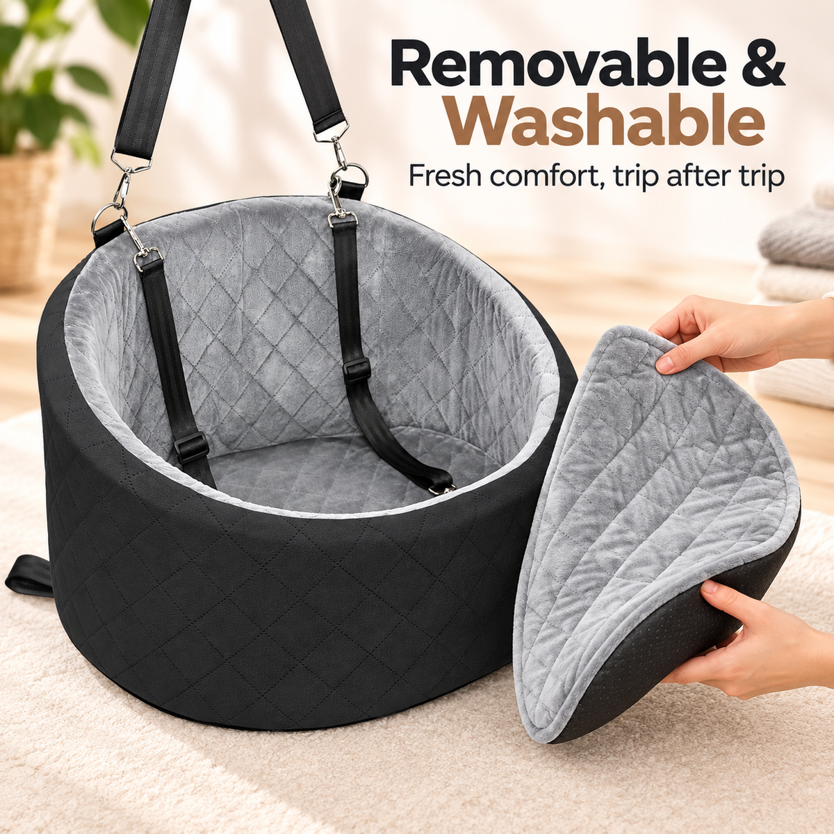 Car Dog Seat &amp; Portable Pet Carrier