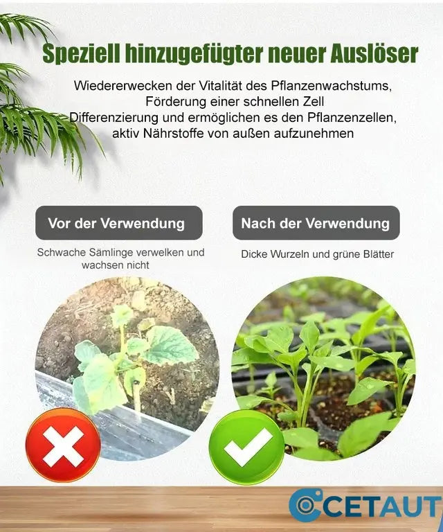Flüssige Lösung zur Aktivierung von Pflanzen und Blumen
