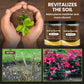 🌿💪 ECOCERT-zertifizierter Bodenaktivator – Stärkt Ihren Boden, fördert üppiges Wachstum mühelos! 🌼✅
