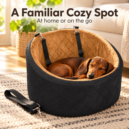 Car Dog Seat &amp; Portable Pet Carrier