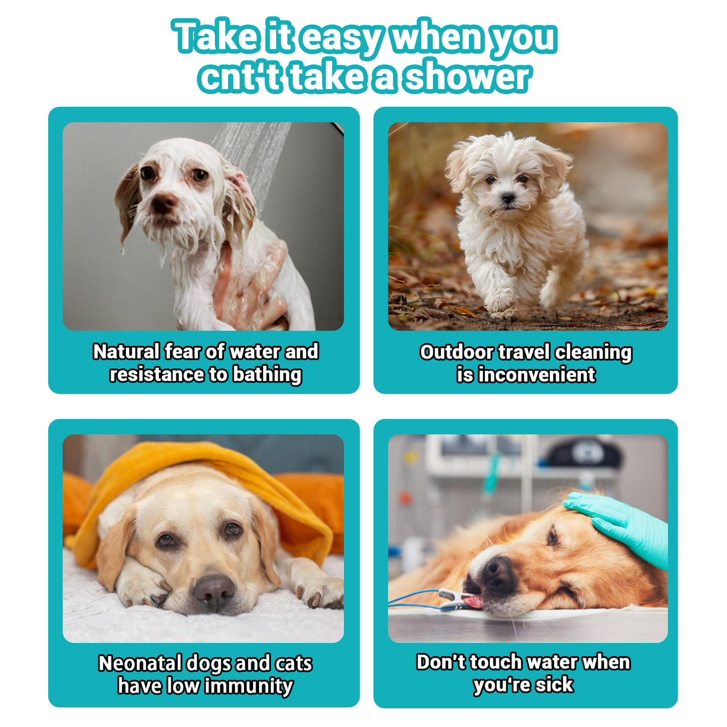 🎉 Letzter Tag: 49 % RABATT! 🫧 Sanfte Reinigungshandschuhe für Haustiere – ganz ohne Ausspülen!