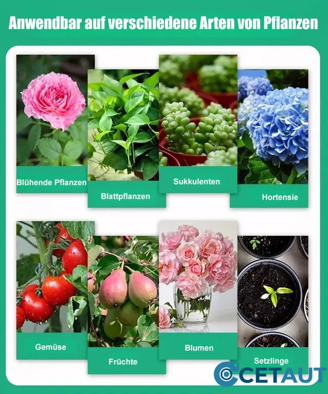 Flüssige Lösung zur Aktivierung von Pflanzen und Blumen