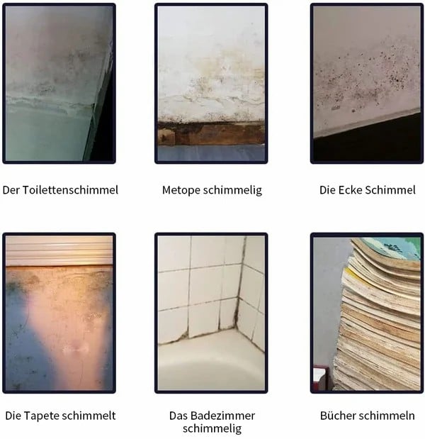 🧴 KAUFE 2, ERHALTE 1 GRATIS! 🦠 Schimmel- & Mehltau-Entferner Schaumspray – Bleichfrei, Einfach Anzuwenden & Lang anhaltender Schutz 🚿