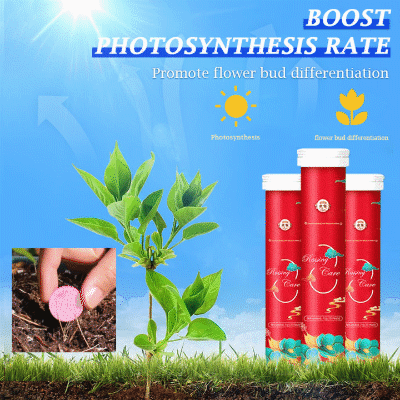 🔥2025 Heißer Verkauf 50%OFF 🌞 Home Gardening Universal Langzeitdünger in Tablettenform Organischer Dünger