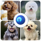 🔥 -50% Heute 🐶🎾 Intelligenter Interaktiver Hüpfball für Haustiere