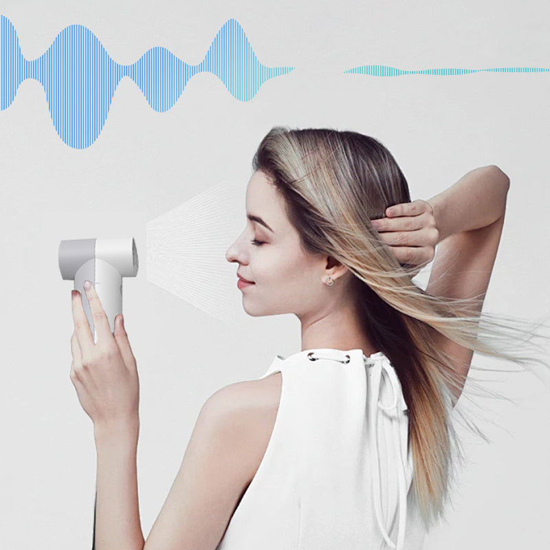 Mehrzweck-Handstaubgerät mit Druckluft