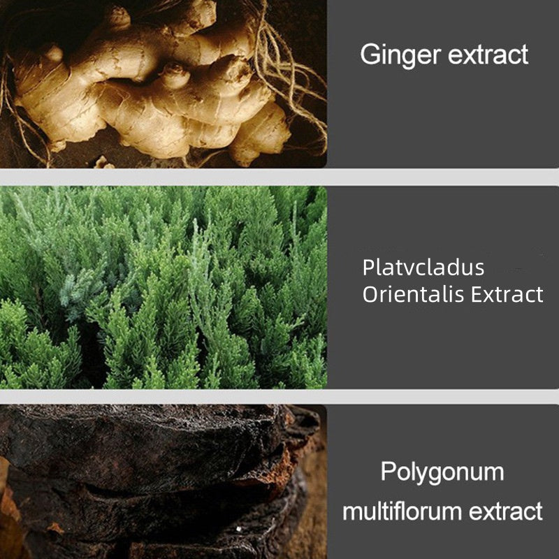 Kräuterextrakt Haarpflegeshampoo für Männer und Frauen