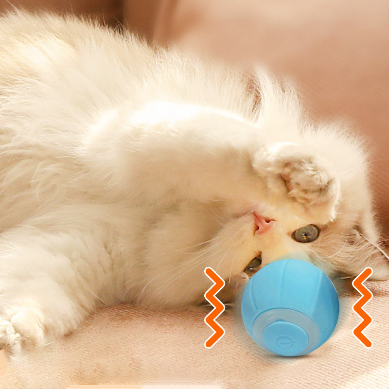 Smart Electric Automatic Rolling Ball Katzenspielzeug