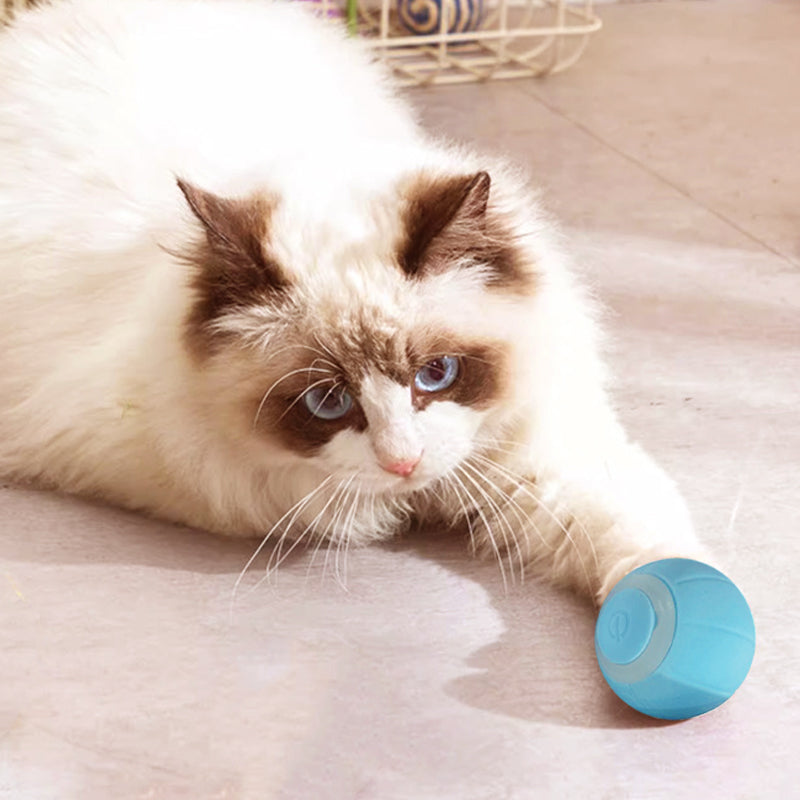 Smart Electric Automatic Rolling Ball Katzenspielzeug