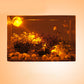 Aquarium-Spotlight mit verstellbarer Lichtausrichtung für Aquarien