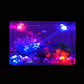 Aquarium-Spotlight mit verstellbarer Lichtausrichtung für Aquarien