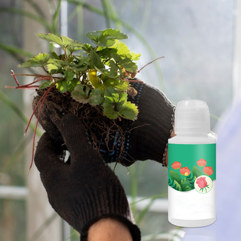 Universal Plant ＆ Blütenaktivierungs-Flüssiglösung
