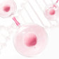 Matte Rotating Smooth Lasting Lip Glaze