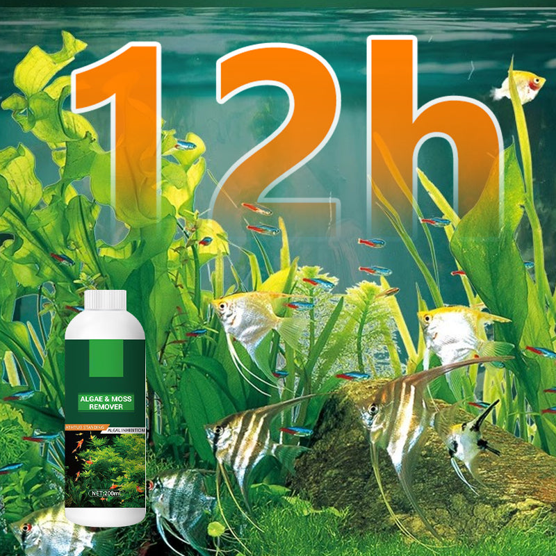 🎉Mehr kaufen und mehr sparen💥 Algen- & Moosentferner für das Aquarium - Sichere Wasseraufbereitung