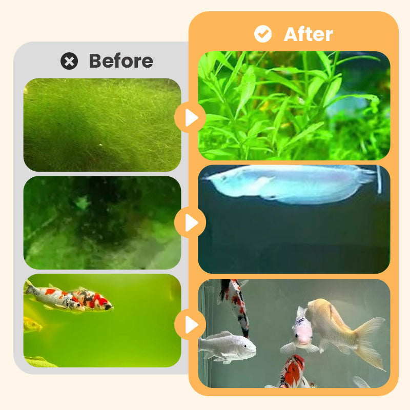 🎉Mehr kaufen und mehr sparen💥 Algen- & Moosentferner für das Aquarium - Sichere Wasseraufbereitung