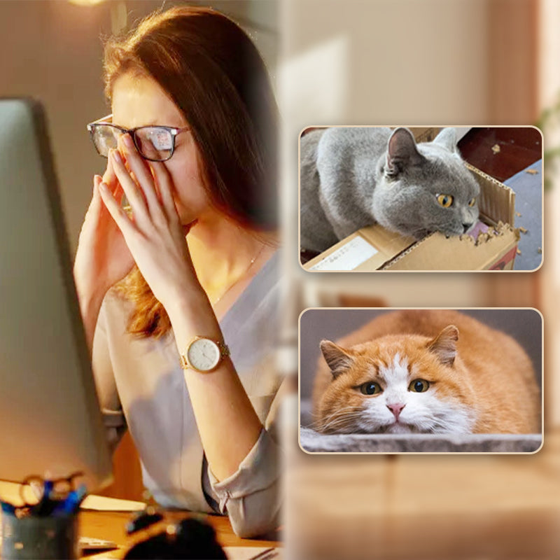 Interaktiver Hüpfball für Katzen mit Federn