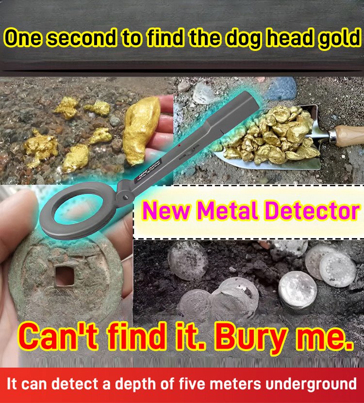 😍Weg zum Reichtum😍 Hochempfindlicher Metallscandetektor
