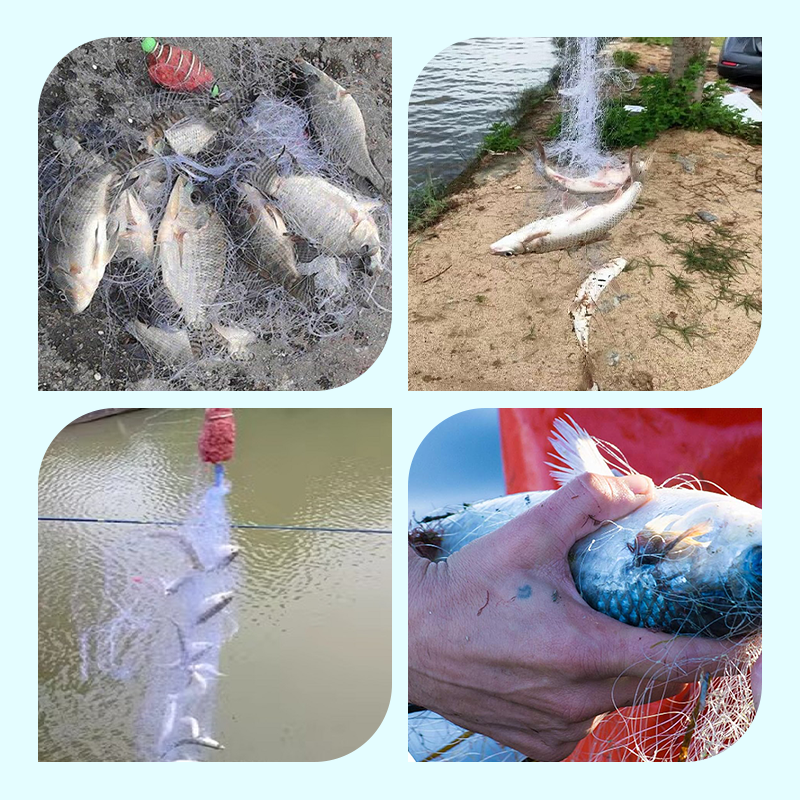 🔥2025 Hot Sale 49% Off🔥Fishing gill net with spring bait trap