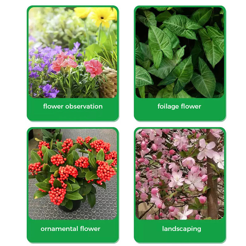 🔥Universal schnellblühendes Pulver für Blumenpflanzen🍀