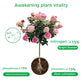 🔥Universal schnellblühendes Pulver für Blumenpflanzen🍀