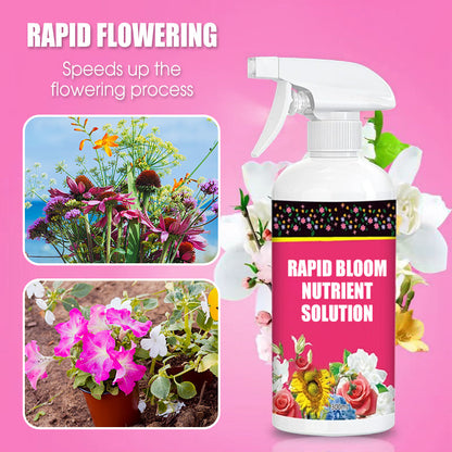 Rapid Bloom Nutrient Solution