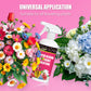 Rapid Bloom Nutrient Solution