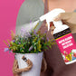 Rapid Bloom Nutrient Solution