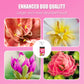Rapid Bloom Nutrient Solution