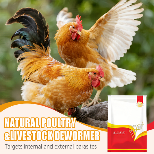 🐔 100 % Natürliches Entwurmungsmittel für Hühner: Die Komplette Lösung gegen Innere und Äußere Parasiten! 🌿✨