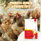 🐔 100 % Natürliches Entwurmungsmittel für Hühner: Die Komplette Lösung gegen Innere und Äußere Parasiten! 🌿✨