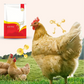 🐔 100 % Natürliches Entwurmungsmittel für Hühner: Die Komplette Lösung gegen Innere und Äußere Parasiten! 🌿✨