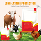 🐔 100 % Natürliches Entwurmungsmittel für Hühner: Die Komplette Lösung gegen Innere und Äußere Parasiten! 🌿✨