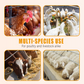 🐔 100 % Natürliches Entwurmungsmittel für Hühner: Die Komplette Lösung gegen Innere und Äußere Parasiten! 🌿✨