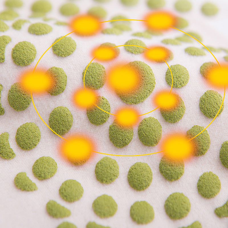 🦵 1 KAUFEN – 1 GRATIS ERHALTEN! ❄️ Winter-Schutzgürtel für Frauen – elastisch und warm, unsichtbarer Tragekomfort unter der Kleidung 💃📦