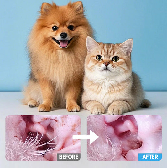 Reinigungstücher für Hunde und Katzen