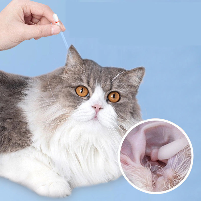 Reinigungstücher für Hunde und Katzen