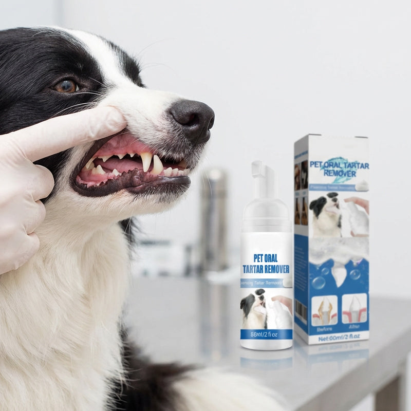 🐾 Schaum-Zahnsteinentferner für Haustiere – Natürliche Formel & mühelose Anwendung!
