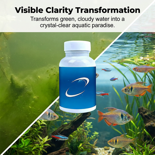 Brausetabletten für Wasserfilter in Aquarien und Teichen