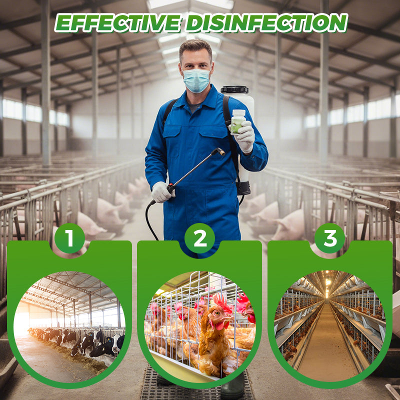 🦠Desinfektionstabletten für Nutztierställe✅
