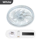 📢📢 50 % RABATT!! 🥳 KOSTENLOSER VERSAND 💞💨 2-in-1-Lautloser, verstellbarer Ventilator mit Fernbedienung und Licht fürs Schlafzimmer