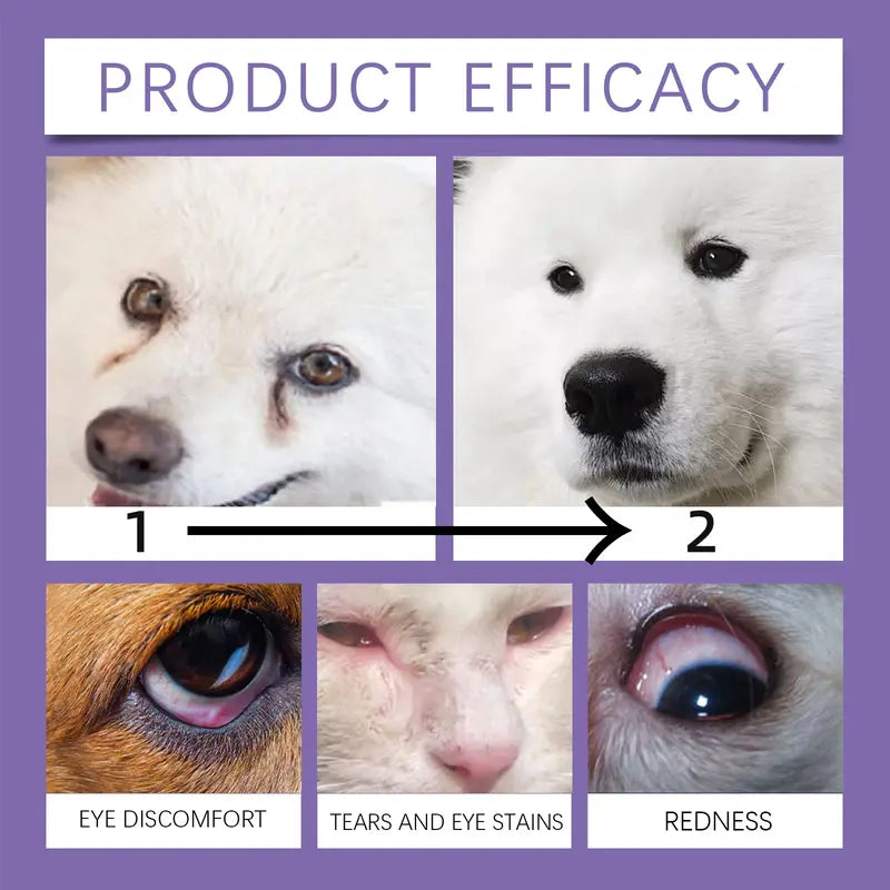 🔥Heißer Sale: 50 % Rabatt🔥 Sanfte Augenspülung für Hunde und Katzen – alkoholfrei, entfernt Fremdkörper, 150 ml 🐶