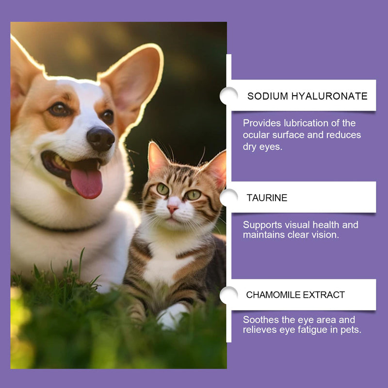 🔥Heißer Sale: 50 % Rabatt🔥 Sanfte Augenspülung für Hunde und Katzen – alkoholfrei, entfernt Fremdkörper, 150 ml 🐶