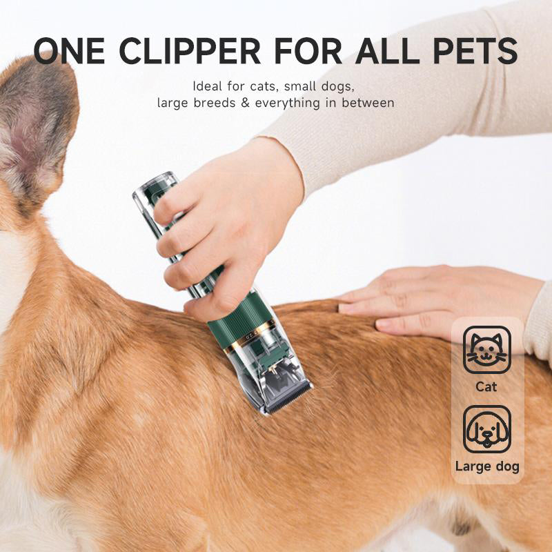 📢 Nur kurze Zeit zum halben Preis ⏰ Stressfreie Fellpflege – ultra‑leise Schermaschine, auch für sensible Haustiere bestens geeignet! 🐾✨