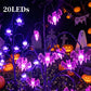 🥳HEISSER VERKAUF 2026🥳💞ÜBER 50.000 VERKAUFT!🎃🦇 50 % RABATT!👻Wasserdichte Halloween-Kürbis-Solar-Lichterkette