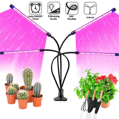 Bauen Sie Ihr eigenes frisches Gemüse an, Fantastische Pflanzenlampe für drinnen!