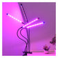 Bauen Sie Ihr eigenes frisches Gemüse an, Fantastische Pflanzenlampe für drinnen!