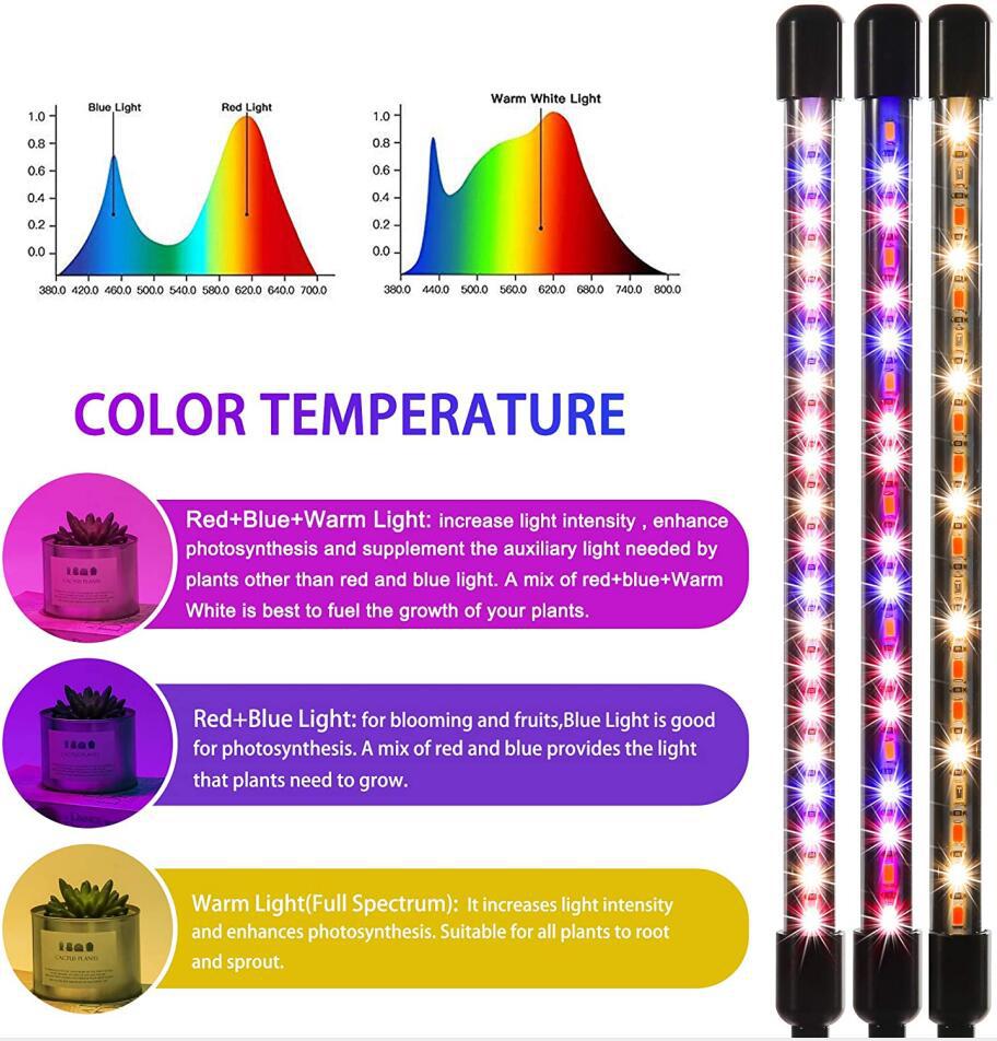 Bauen Sie Ihr eigenes frisches Gemüse an, Fantastische Pflanzenlampe für drinnen!